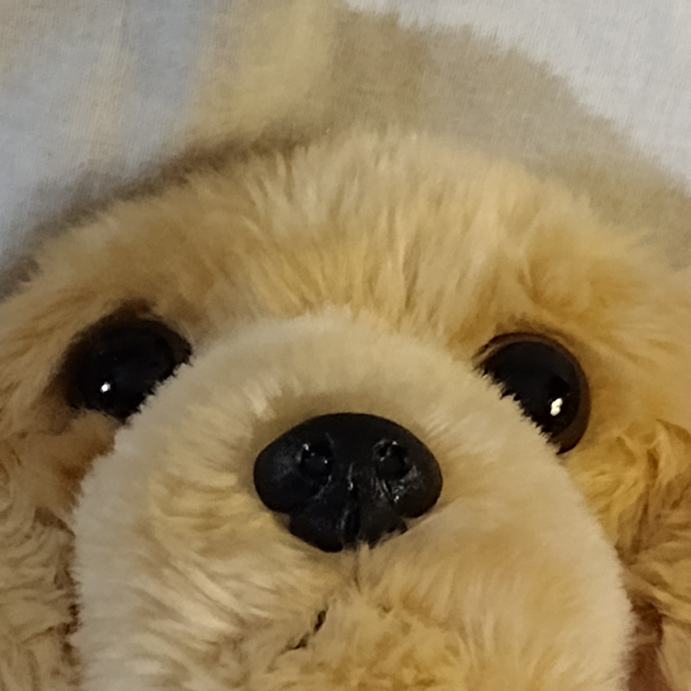 Cuddly Tan Puppy Plush Toy - Picture 10 of 10